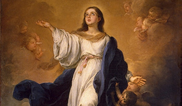 Solemnity of the Immaculate Conception