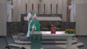 Thirty-Third Sunday in Ordinary Time November 18th, 2018 Mass Video